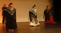 Colmao Flamenco