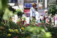 Wochenmarkt Unser-Lieben-Frauen-Kirchhof