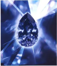 Tanzanite Experience