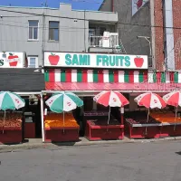 Sami Fruits