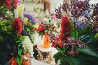 Bloemen Gerbera