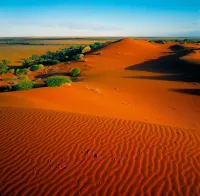 Simpson Desert Oasis