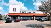 Cafe Ginger