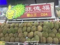 Wonderful Durian