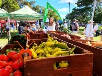 Byron Farmers Market