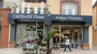 Caussade Fleurs