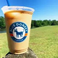 Blue Donkey Coffee