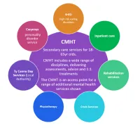 Lower Monmouthshire Community Mental Health Team