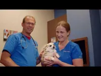 Lake Lavon Animal Hospital