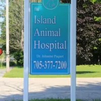 Island Animal Hospital