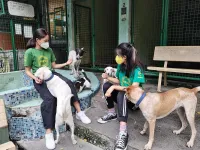 Philippine Animal Welfare Society