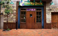 The Mucky Duck