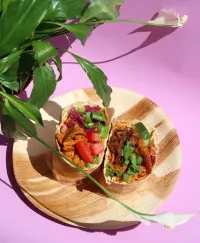 Vegar - vegan kebab