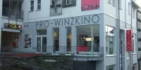 Pro-Winzkino