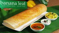 Banana Leaf