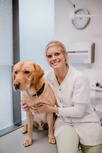 Caressa Dierenkliniek Thorbeckelaan