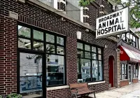 Pet Vets Animal Hospital