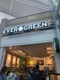 Evergreens