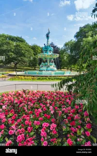 Fountain Flowers