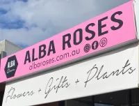 Alba Roses