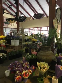 Hills Flower Market