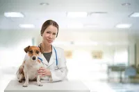 Cabinet veterinar