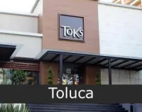 Toks Metepec