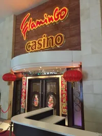 Flamingo Casino