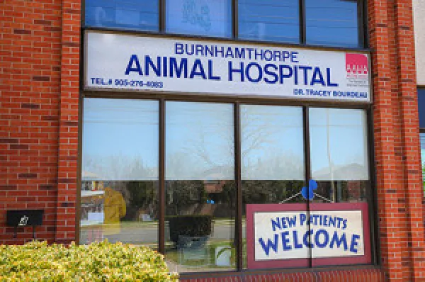 Burnhamthorpe Animal Hospital