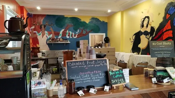 Kombucha Cafe