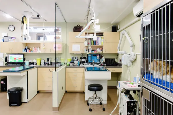 Caledon East Veterinary Office
