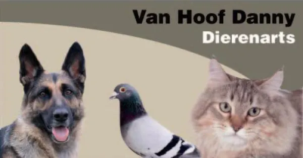 Dierenarts Van Hoof