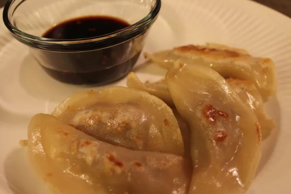 Pan Fried Dumplings