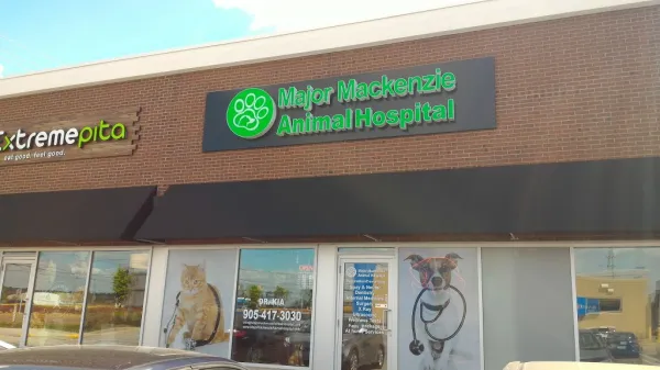 Major Mackenzie Animal Hospital