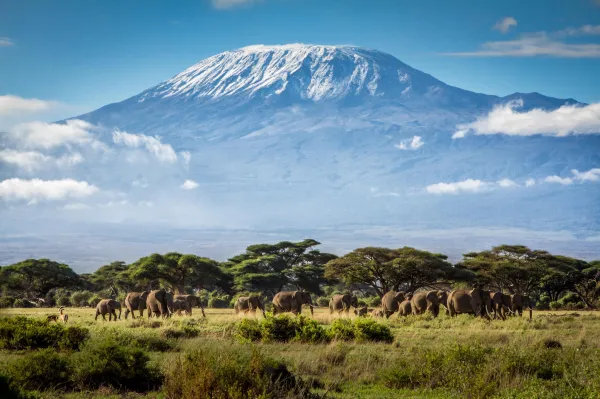 Kilimanjaro