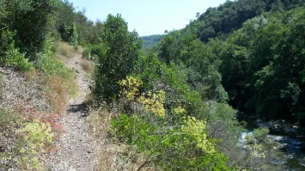 Auto bilan de la siagne