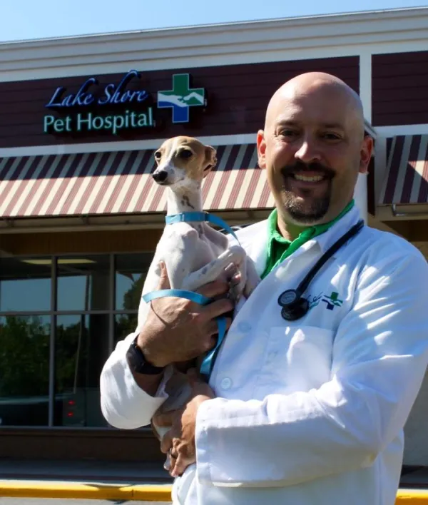 Pet Vet Lakeshore Hospital