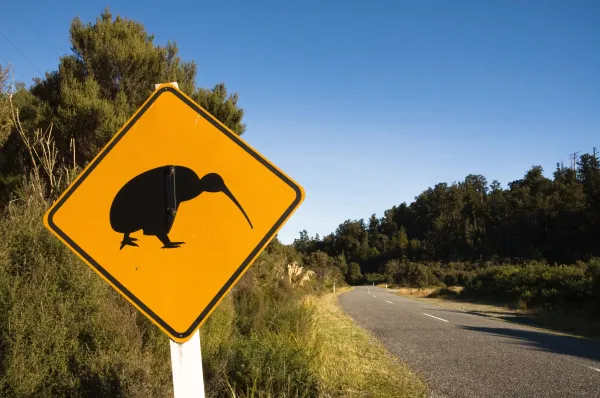 Sign of the Kiwi