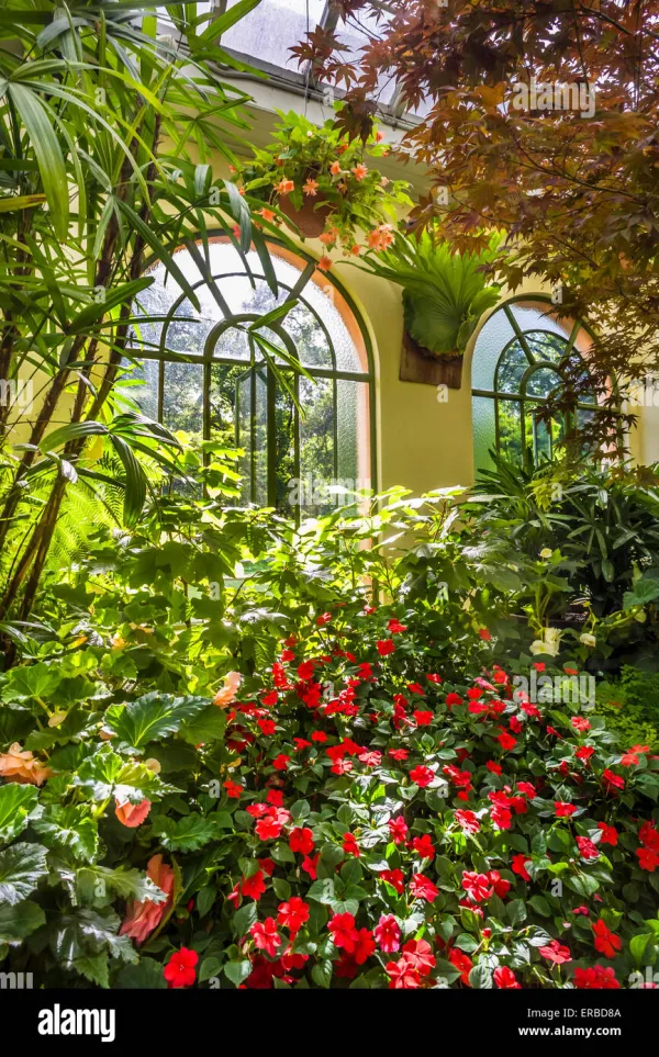 Flowers In The Window