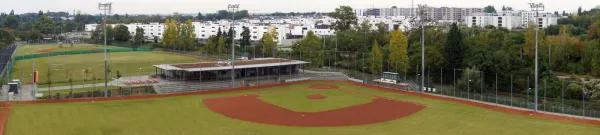 Baseball- und Softball-Club Mainz Athletics 1988 e.V.