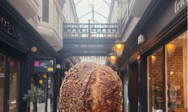 Friends In Knead