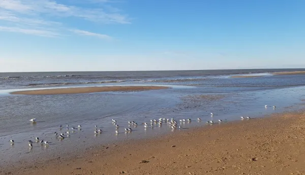 Beachclub Zuiderduin