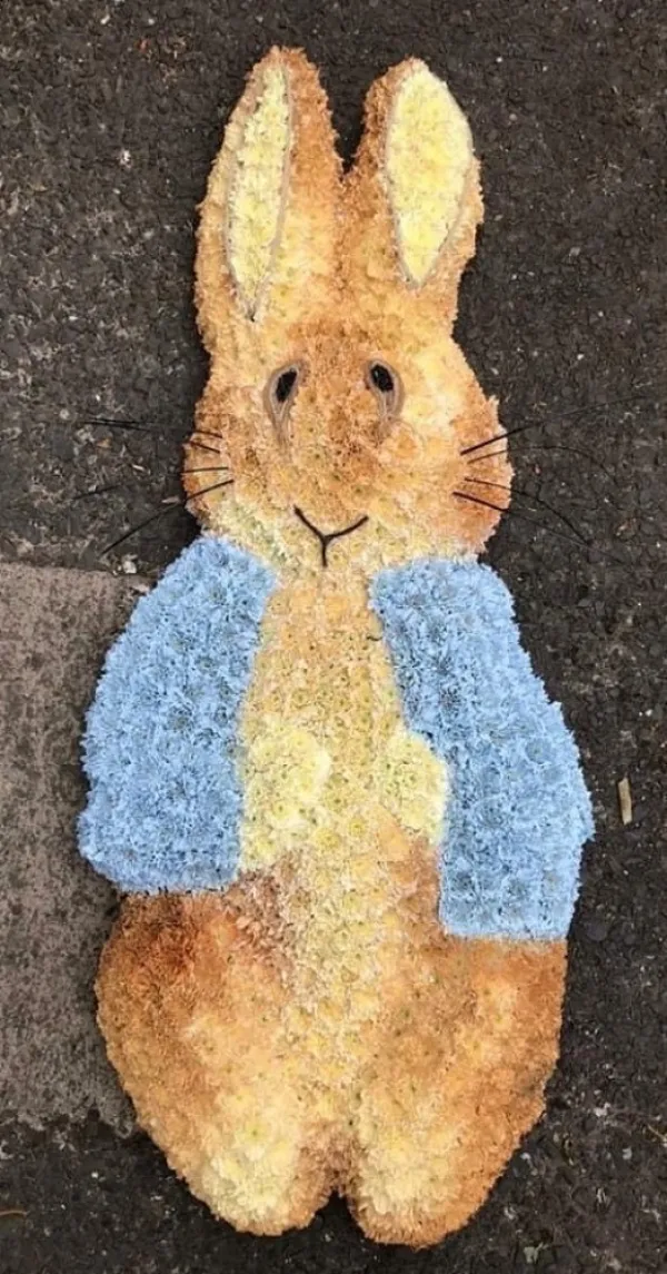 Peter Rabbit Flowers