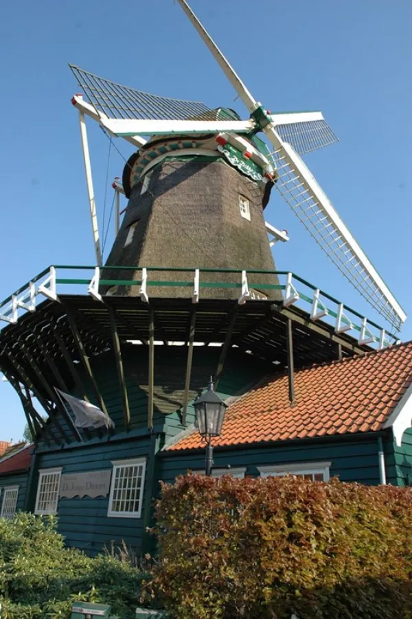 De Jonge Dikkert