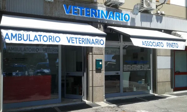 Ambulatorio Veterinario Associato Pineto