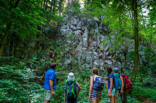 Wildverkauf am Tharandter Wald