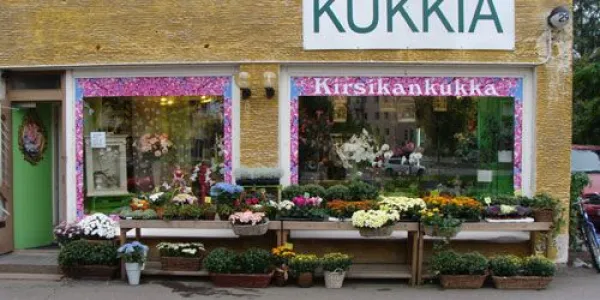 Kukkakauppa Kirsikankukka