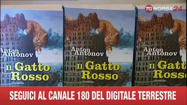 Il Gatto Rosso