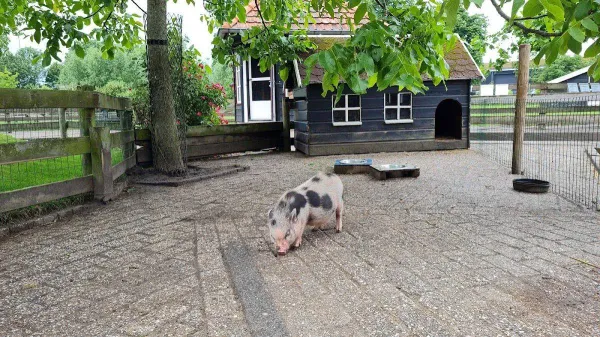 Rustpunt Kinderboerderij Binnenmaas