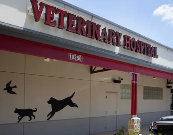 Town and Country Veterinary Hospital